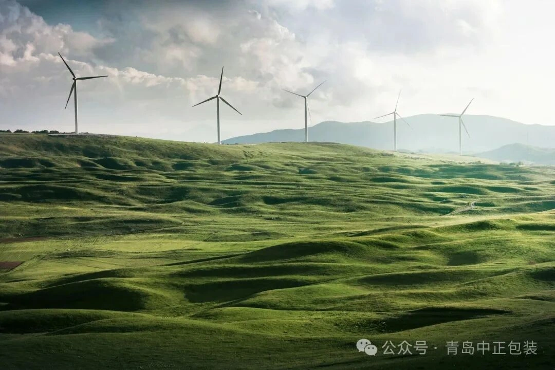 青岛中正包装